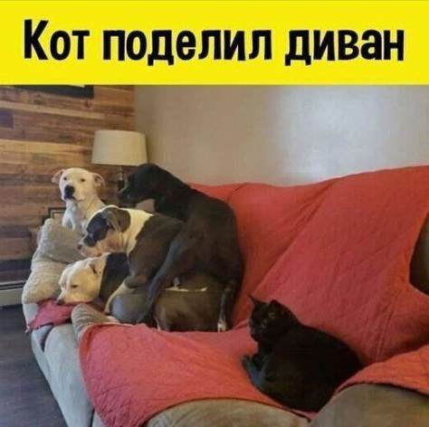 Так себе картинки 11.12.23