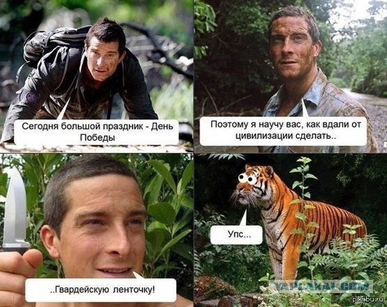 "Выжить одному в лесу" -  это просто