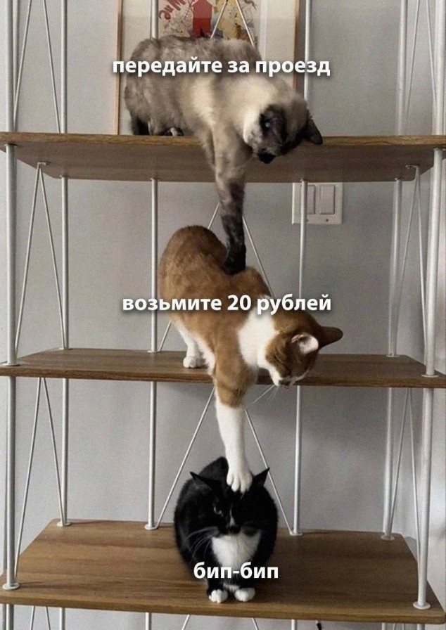 Папа, покажи оленя