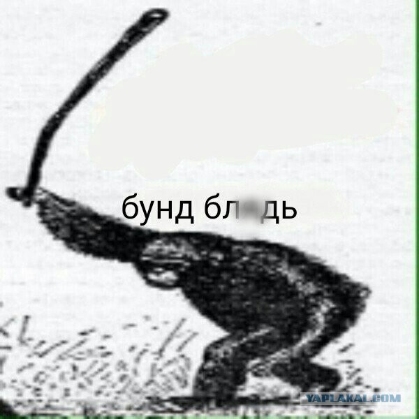 Кина не будет