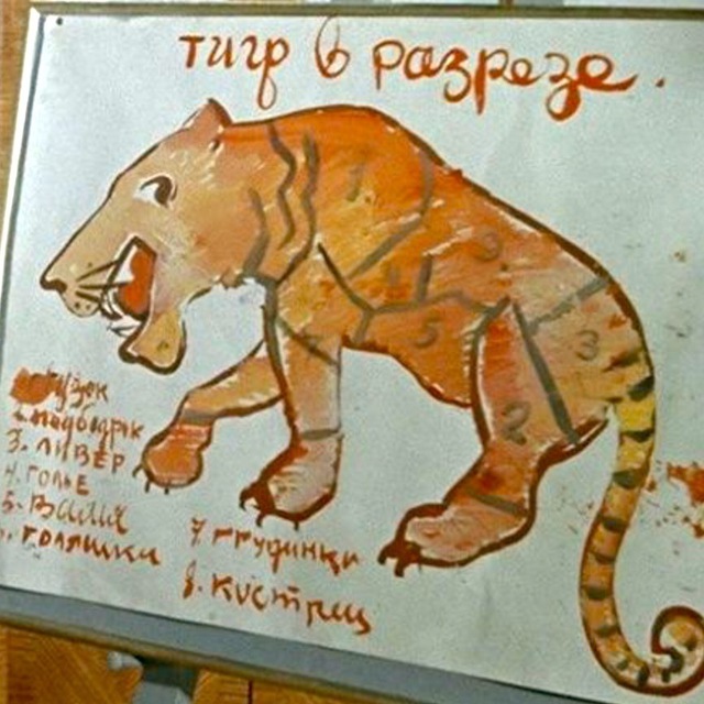 Скан женщины 113 кг и 56 кг