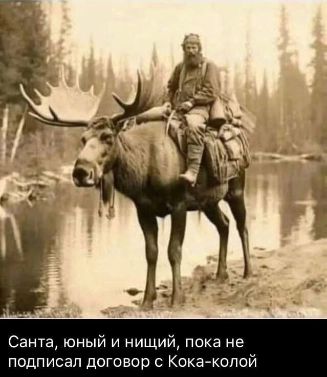 Народная меДИЧина 2024