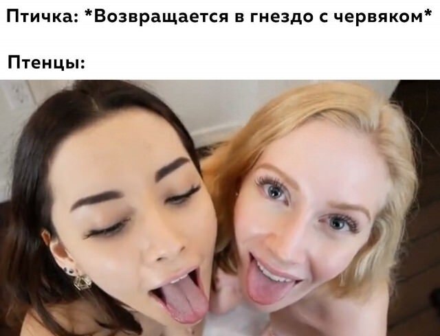 Веселые картинки в пятницу (14.02)