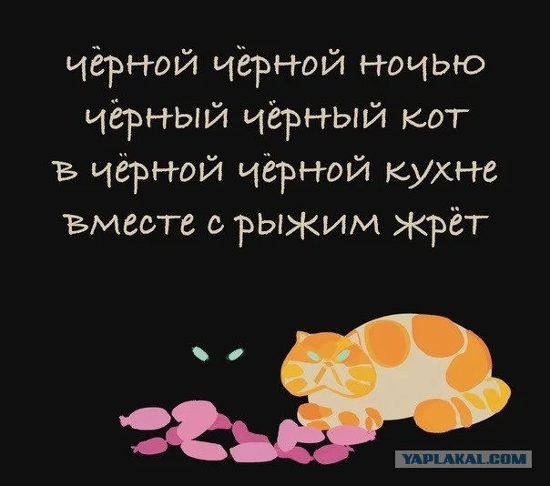 Сборник Баянов