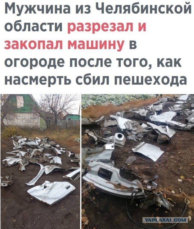 Так себе картинки 13.03.25