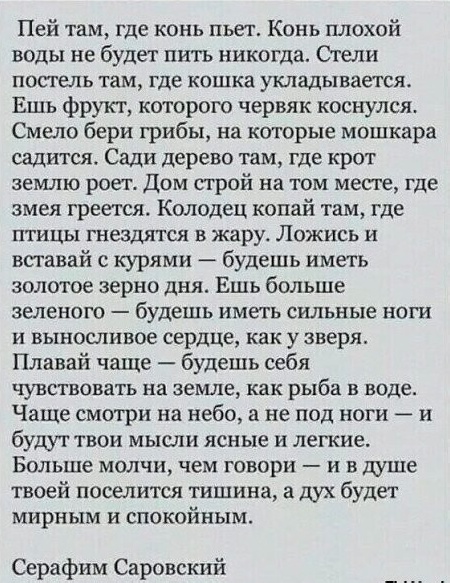 Так себе картинки 19.06.25