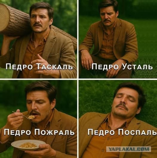 Картинки для деградации 49 (разной степени свежести)