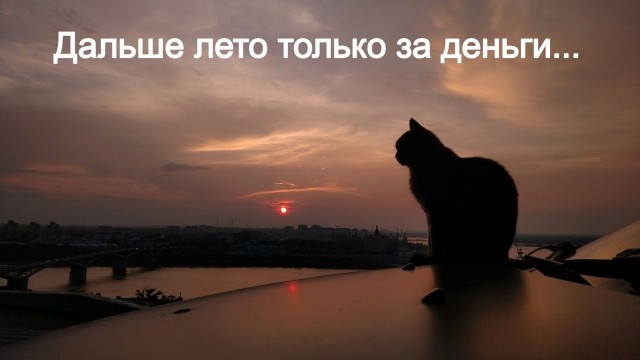 Подборка картинок-баянов с котиками и про котиков. Выпуск 21