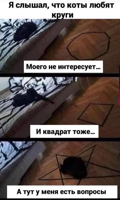 К котовторнику: подборка картинок-баянов с котиками и про котиков. Выпуск 22