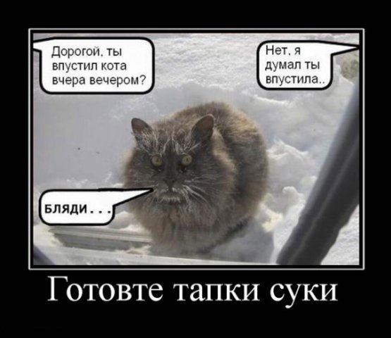 Баянопад