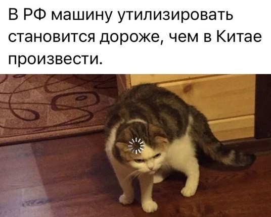 Так себе картинки 24.12.25