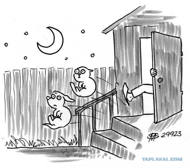 Веселые картинки _)