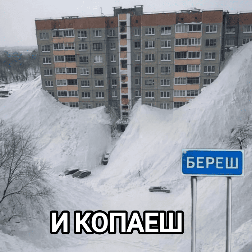 20681580.png