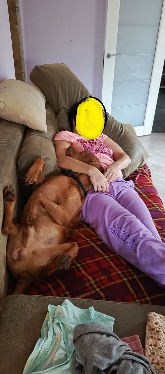 Ах она сyчка