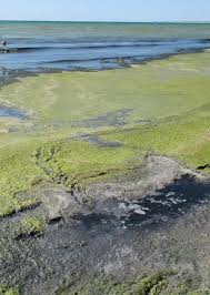 Попова: Морская вода в Анапе соответствует нормативам