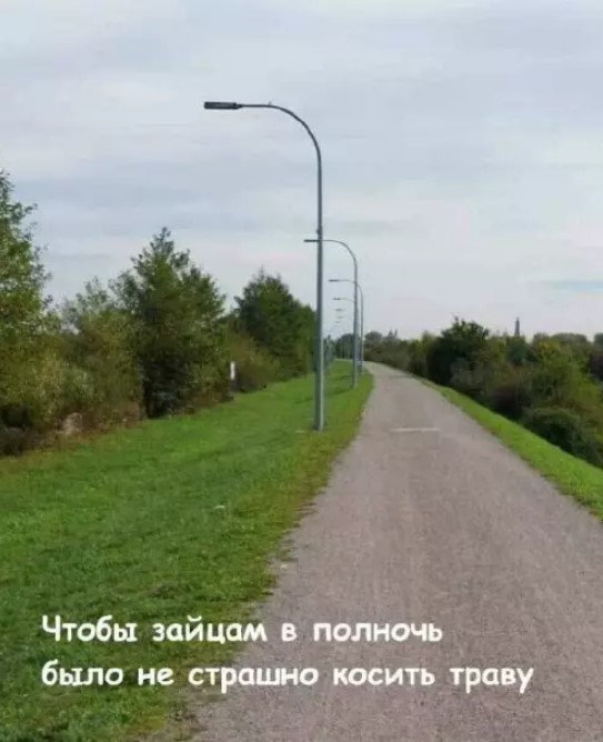 Картинки для деградации 207 (разной степени свежести)