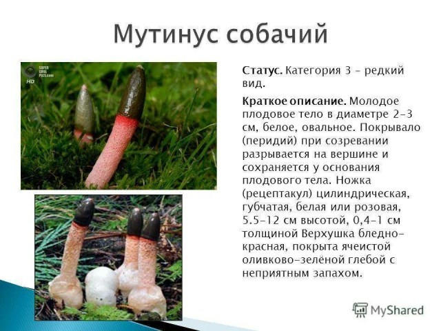 Ну вот! Есть же хорошие новости!