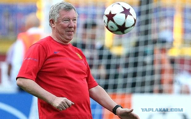 10 удивительных фактов о рыцарях