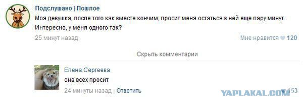 Смешные комментарии из социальных сетей #2