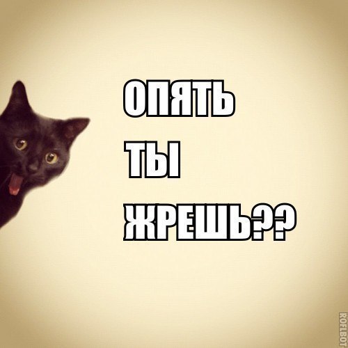 Кач тайм!