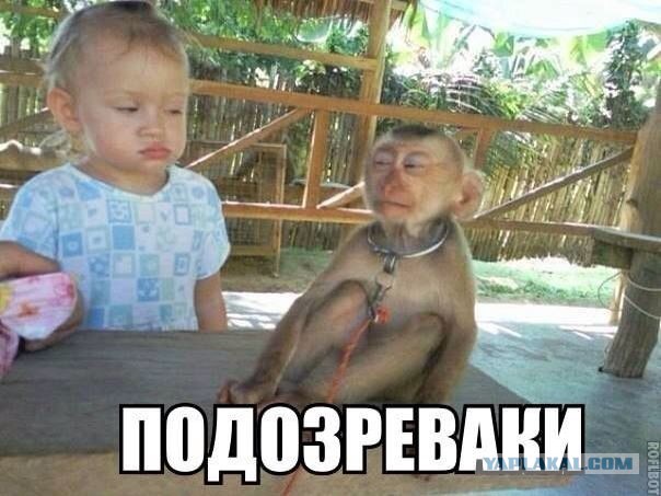 Весёлые картинки. Разбавим будни