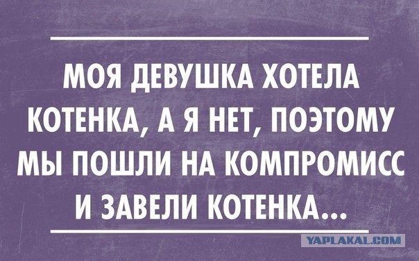 Смешные картинки из инета