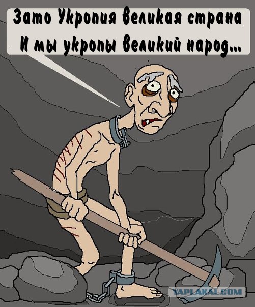 Яценюк признал - каждый министр предатель.