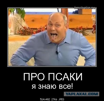 Госдеп США оправдывает АТО