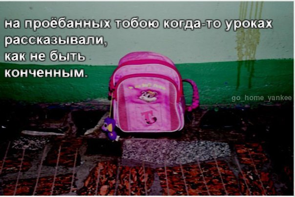 Смешные картинки с подписями