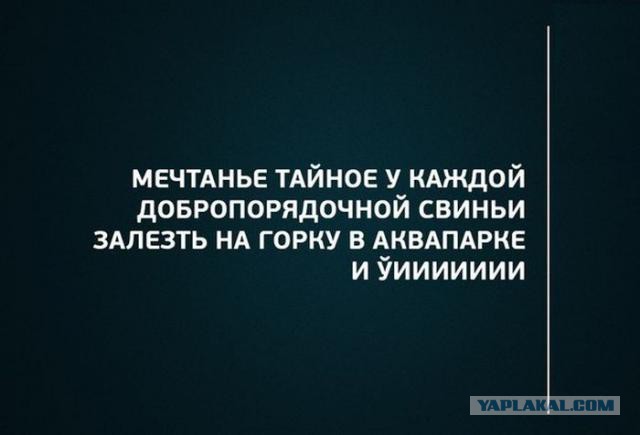 Немного позитива на пятницу