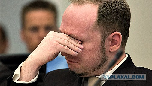 Популярные мемы на ЯПе