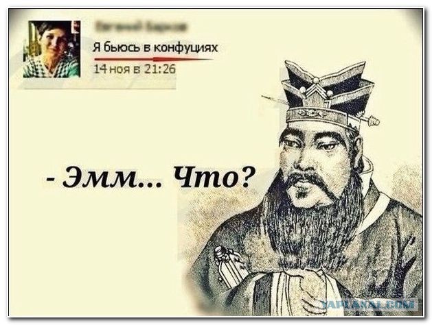 Смешные комментарии из социальных сетей 13.11.14