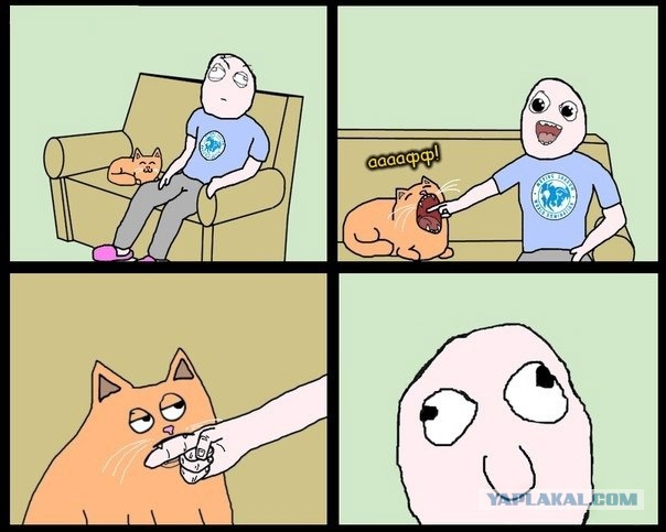 Новый японский тренд — котомонтаж.