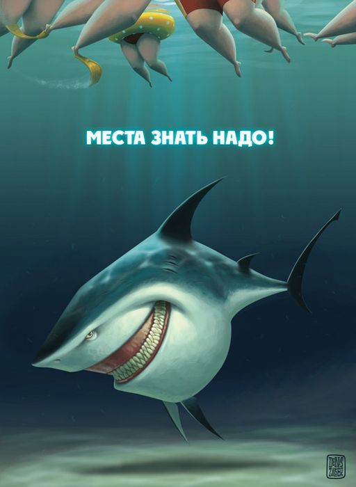 Акула охотится на пляже