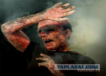 На Украине потребовали нанести удар