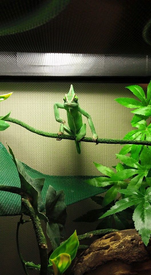 27 фотографий