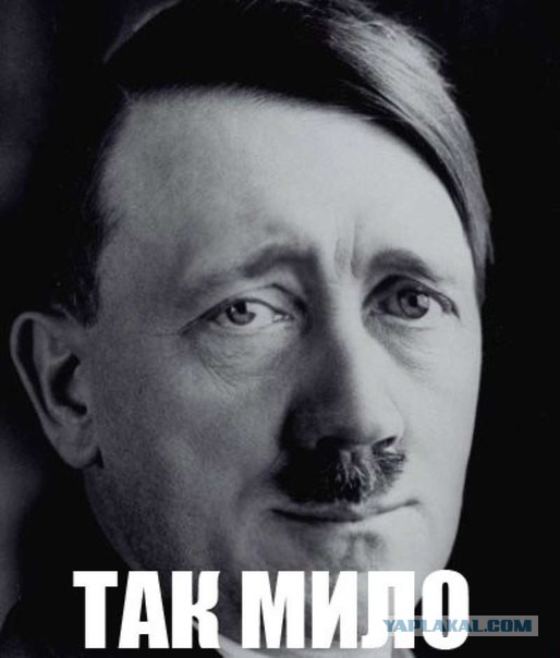 Диета Дуэйна «Скалы» Джонсона