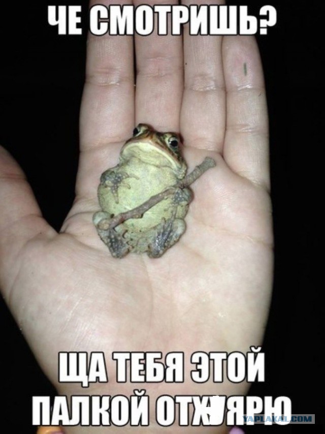 Забавные картинки из Сети