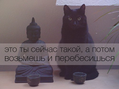 Курс доллара в ближайшее время. Часть 2.