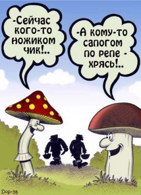 Подборка баянов.
