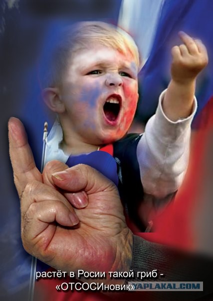 Клички жгут)