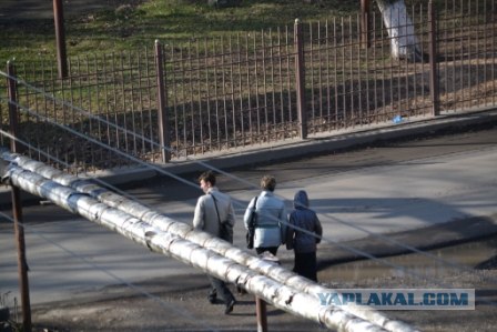 Новые "Свидетели ... "