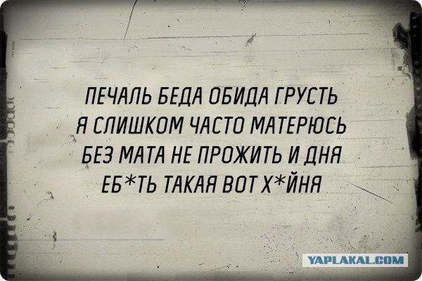 Плюшкиным посвящается