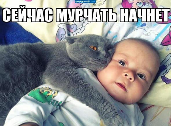 50 прикольных картинок из сети на понедельник