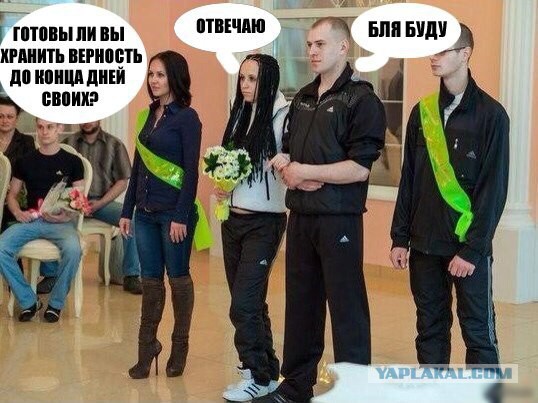 Подборка картинок из сети
