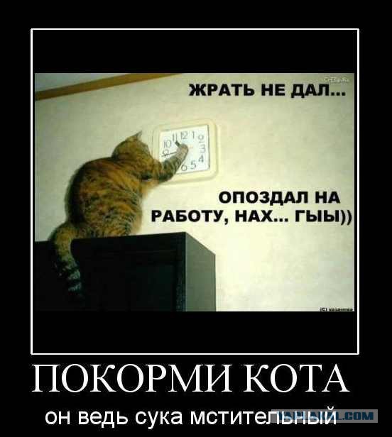 Подслушано (непридуманные истории из жизни)