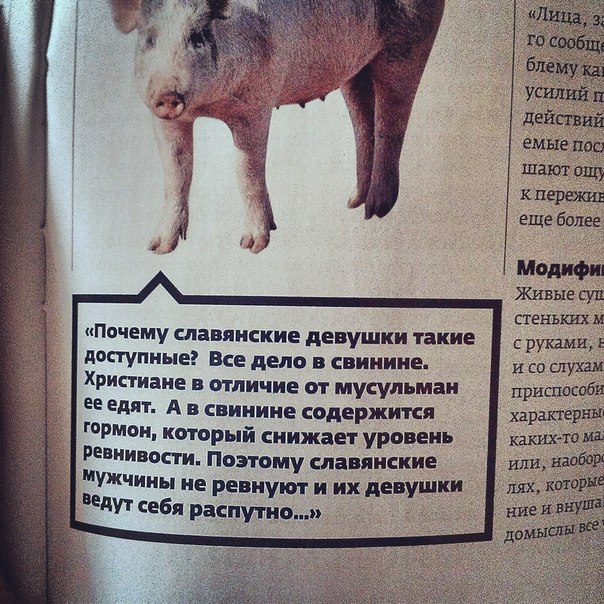 Ужасы и приколы из соцсетей 18+