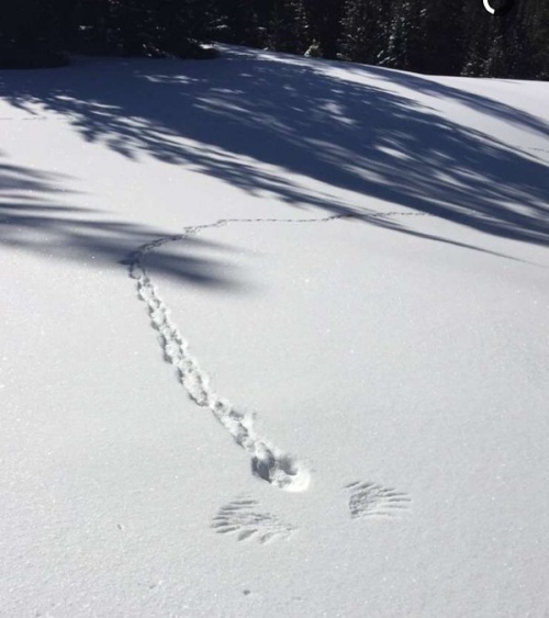 Картинки из сети (07.04.16)