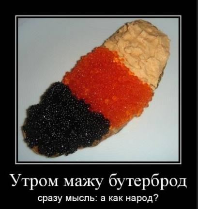 Депутат Госдумы от фракции «Единая Россия» задекларировал 387 объектов недвижимости