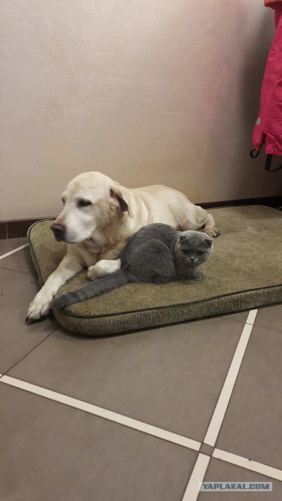 Подкинули в подъезд в возрасте 2-3 дней